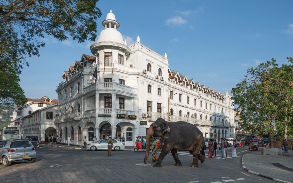 Discovering the Real Beauty of Sri Lanka: 5 Places You Can’t Miss | TravelAxis Discovering the Real Beauty of Sri Lanka: 5 Places You Can’t Miss