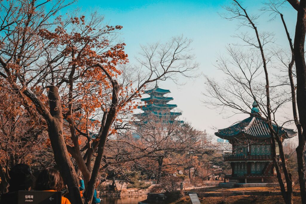 Complete Guide to South Korea Trip (Budget + Itinerary + Must-Visit Places)